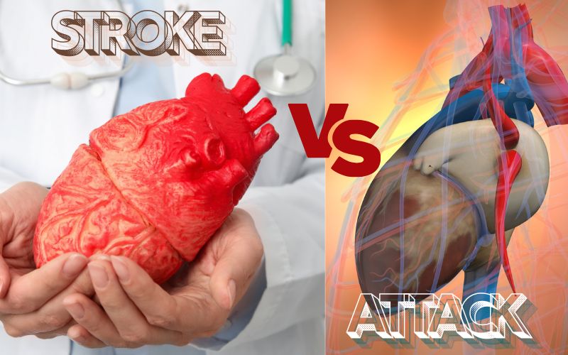 Heart attack vs heart stroke