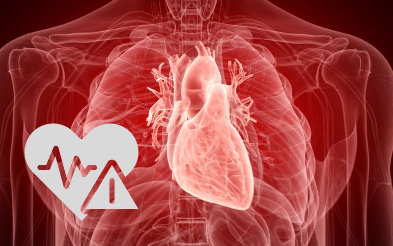 Everything about congenital heart disease